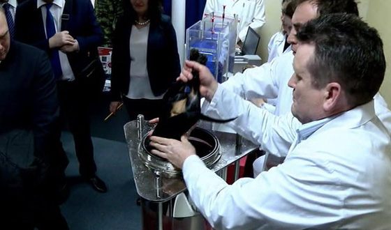 В Кремле прокомментировали «утопленную» Рогозиным собаку