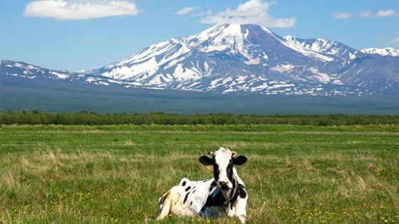 Любой россиянин может получить 1 га земли на Дальнем Востоке