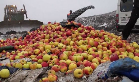 День патриотизма хотят приурочить к введению продуктового эмбарго День патриотизма хотят приурочить к введению продуктового эмбарго
