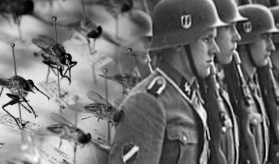 Целью «суперкомаров» должны были стать южные республики СССР Целью «суперкомаров» должны были стать южные республики СССР