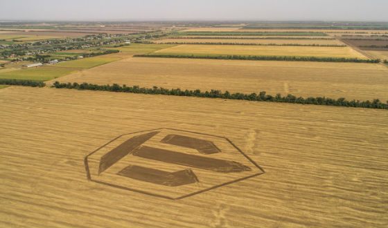Логотип World of Tanks в Краснодарском крае Логотип World of Tanks в Краснодарском крае