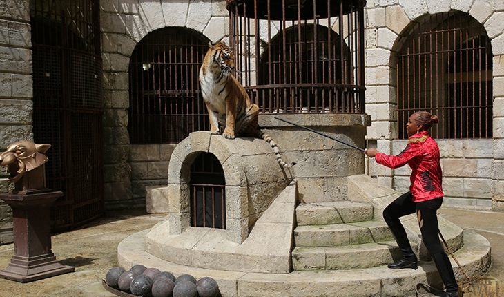 Моник Анжон в образе Фелиндры