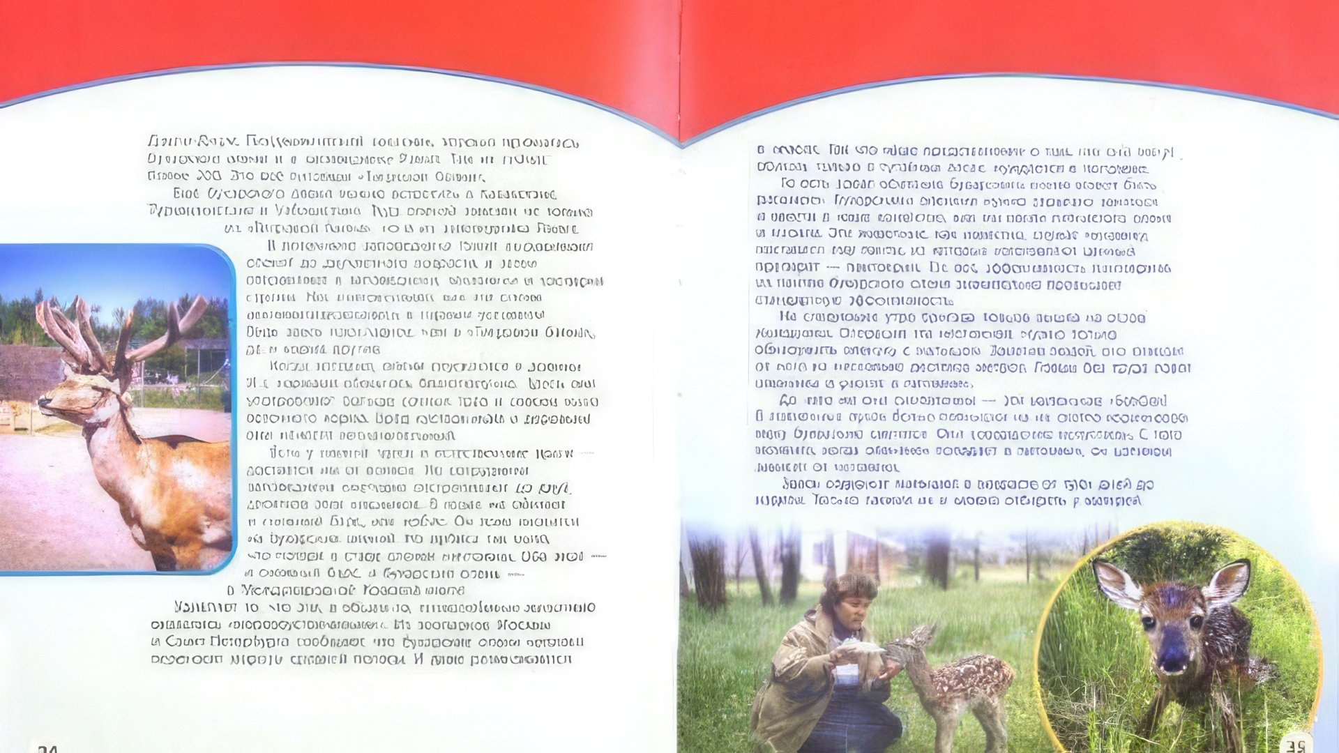 Николай Дроздов написал десятки книг для юных и взрослых читателей