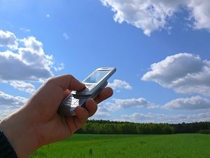 Фирма планирует покорять новые горизонты Фирма планирует покорять новые горизонты