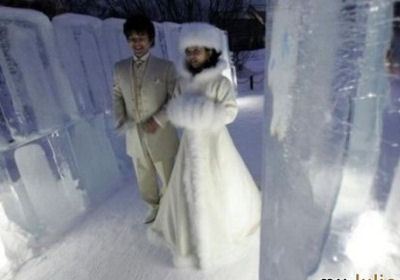 Антарктическая свадьба