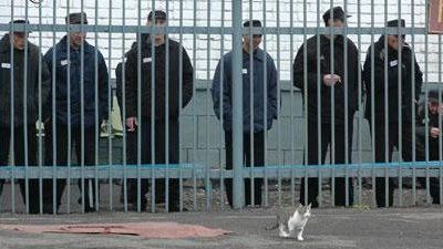 За употребление наркотиков будут сажать За употребление наркотиков будут сажать