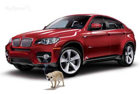 BMW BMW