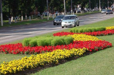 Цветы в Москве Цветы в Москве