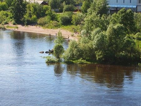 Ребенка похитили в Перми на берегу Камы на глазах у пьяного дяди