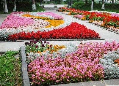 Конкурс клумб продлится до сентября Конкурс клумб продлится до сентября