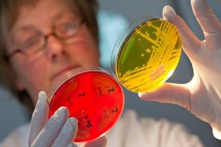 25 школьников госпитализированы из детского спортивного лагеря в Анапе с кишечной инфекцией 25 школьников госпитализированы из детского спортивного лагеря в Анапе с кишечной инфекцией