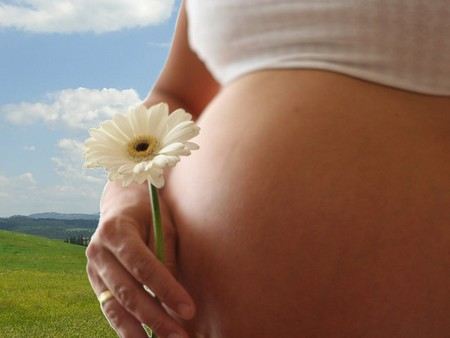 Конституционный суд отказал генетическим родителям в правах на ребенка. Суррогатная мать и её бывший муж официально признаны родителями. Конституционный суд отказал генетическим родителям в правах на ребенка. Суррогатная мать и её бывший муж официально признаны родителями.