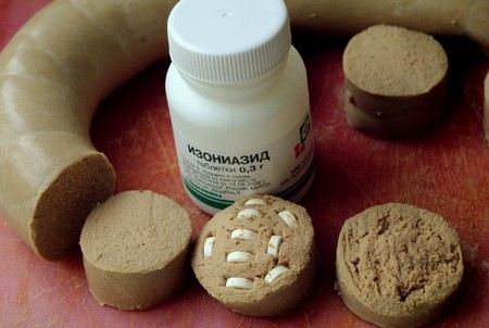 Неизвестные отравили десятки собак в воронежском приюте. Неизвестные отравили десятки собак в воронежском приюте.