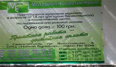 О приятной работе и достойной зарплате мечтают многие - не многие находят О приятной работе и достойной зарплате мечтают многие - не многие находят