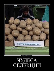 Чудны дела твои, Господи! Чудны дела твои, Господи!
