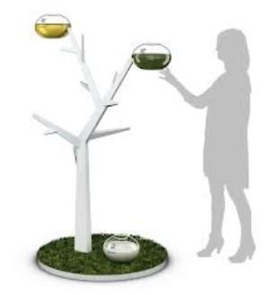 Treat сохраняет продукты свежими Treat сохраняет продукты свежими