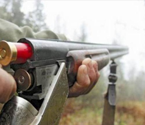 Новые правила охоты вступили в силу Новые правила охоты вступили в силу