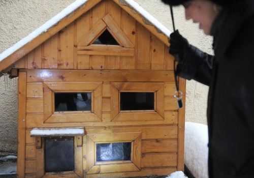 Коттеджи для бездомных кошек появились в Москве Коттеджи для бездомных кошек появились в Москве