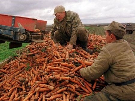 Дмитрий Медведев дал прогноз на рост российского и мирового ВВП в 2013 году, а также называл отрасли экономики, в которых у России есть фантастические возможности. Дмитрий Медведев дал прогноз на рост российского и мирового ВВП в 2013 году, а также называл отрасли экономики, в которых у России есть фантастические возможности.