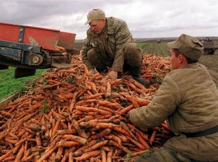 Дмитрий Медведев дал прогноз на рост российского и мирового ВВП в 2013 году, а также называл отрасли экономики, в которых у России есть фантастические возможности.