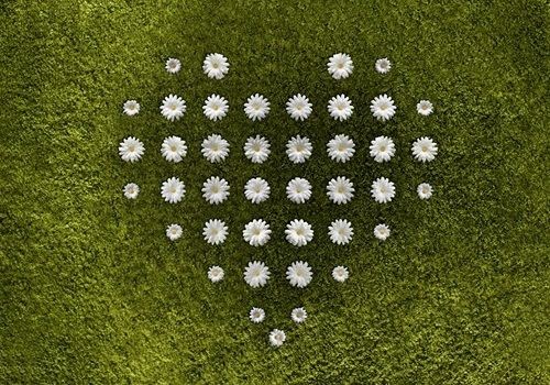 Daisy Garden Rug Daisy Garden Rug