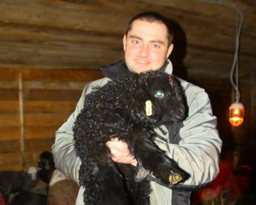 Александр Языков переехал в российскую глубинку ради разведения овец Александр Языков переехал в российскую глубинку ради разведения овец