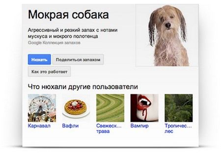 Google предлагает пользователям поиск по запахам. Google предлагает пользователям поиск по запахам.