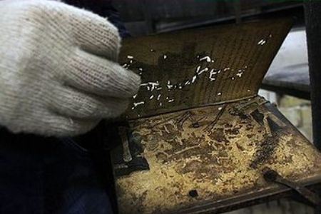 Уникальная находка Уникальная находка