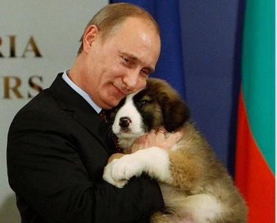 Путина потроллят? Путина потроллят?