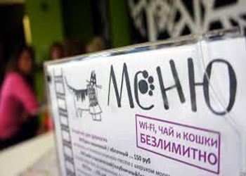«Котокафе» популярны во всем мире «Котокафе» популярны во всем мире