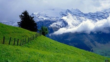 Швейцария - возглавила рейтинг самых чистых стран Швейцария - возглавила рейтинг самых чистых стран
