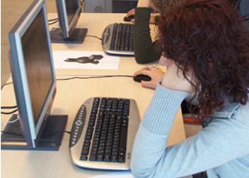 Американские ученые считают, что работа за персональным компьютером дает возможность намного лучше ориентироваться в пространстве Американские ученые считают, что работа за персональным компьютером дает возможность намного лучше ориентироваться в пространстве