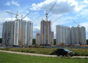 В Новой Москве дубовую рощу не вырубят ради возведения новой школы В Новой Москве дубовую рощу не вырубят ради возведения новой школы