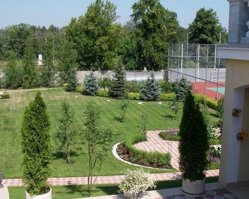 В Костроме пройдут мероприятия по озеленению территорий В Костроме пройдут мероприятия по озеленению территорий
