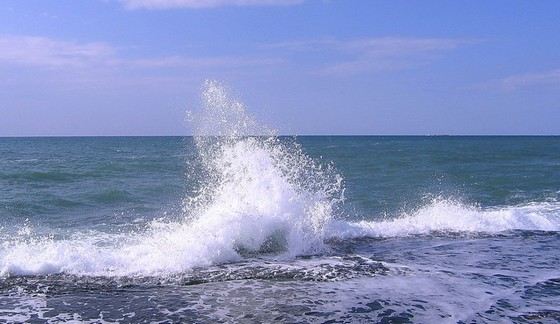 Морская вода бывает разной степени солености