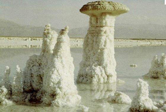 В некоторых морях концентрация солей зашкаливает В некоторых морях концентрация солей зашкаливает