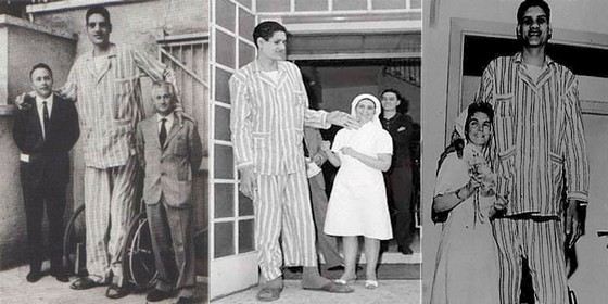 Сулейман Али Нашнуш - самый высокий баскетболист в истории Сулейман Али Нашнуш - самый высокий баскетболист в истории