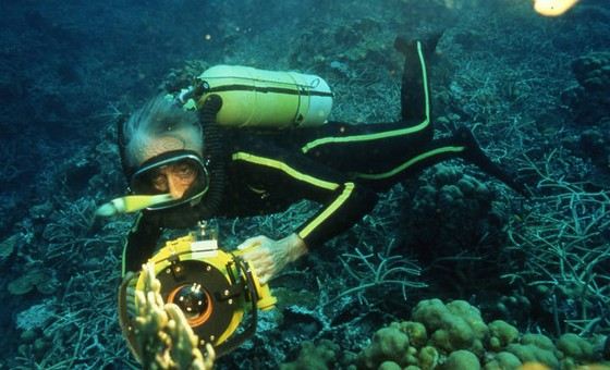 Жак-Ив Кусто изучал красоты морей Жак-Ив Кусто изучал красоты морей