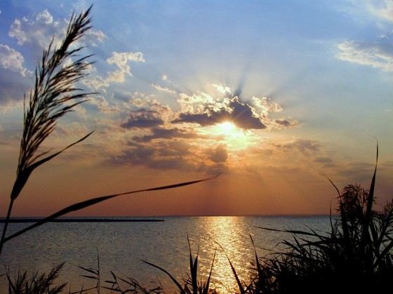 Азовское море очень теплое Азовское море очень теплое