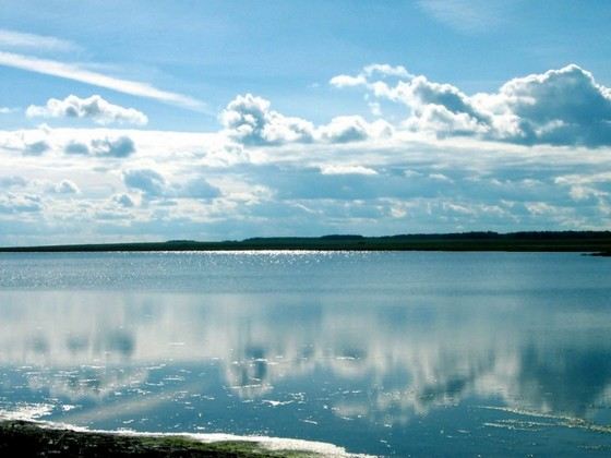 Озеро Чаны входит в список самых больших озер в России Озеро Чаны входит в список самых больших озер в России