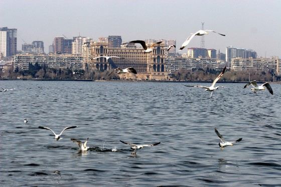 Каспийское море не только самое большое озеро в России, но и в мире Каспийское море не только самое большое озеро в России, но и в мире