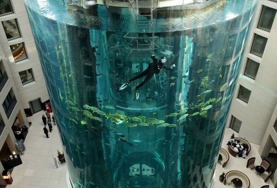 AquaDom самый большой аквариум в Германии AquaDom самый большой аквариум в Германии
