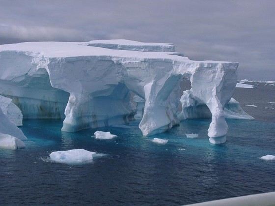 Море Уэддела очень холодное и очень чистое Море Уэддела очень холодное и очень чистое