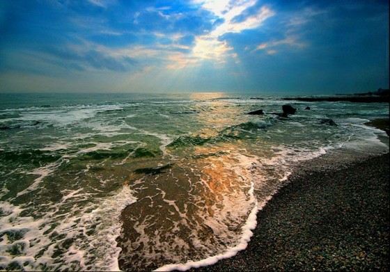 Черное море не считается очень чистым Черное море не считается очень чистым