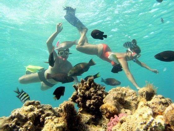 Красное море самое чистое в мире Красное море самое чистое в мире