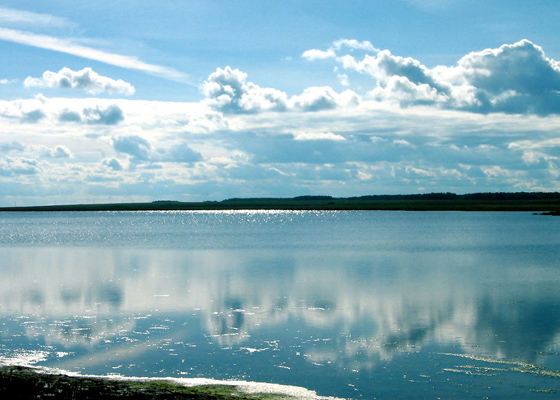 Одно из больших озер - озеро Чаны Одно из больших озер - озеро Чаны