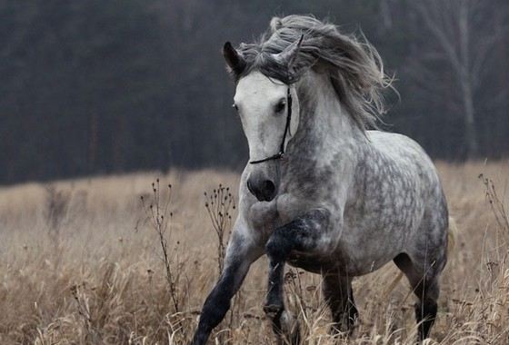 Самые стильные туфли Самые стильные туфли