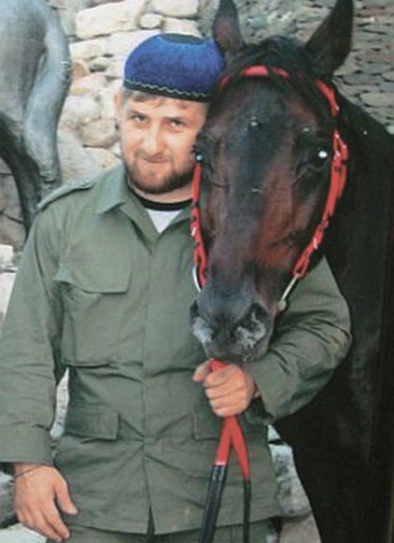 Мерин Истеблишед Голд Рамзана Кадырова - одна из самых дорогих лошадей в России Мерин Истеблишед Голд Рамзана Кадырова - одна из самых дорогих лошадей в России