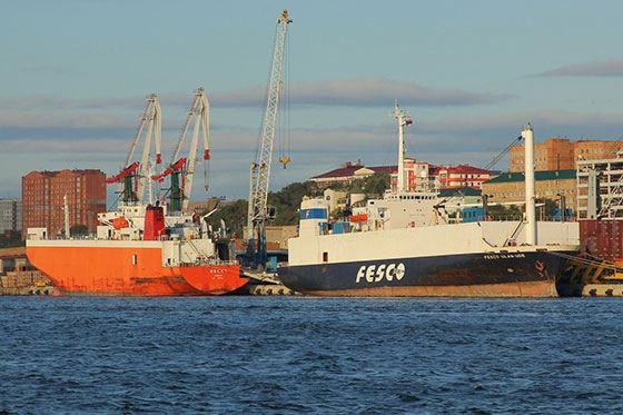 Компания Fesco разработала многолетнюю стратегию развития Компания Fesco разработала многолетнюю стратегию развития