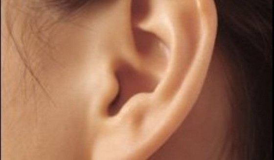 Гигантские уши - рекорд сомнительной красоты Гигантские уши - рекорд сомнительной красоты
